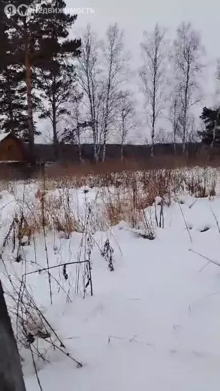 Участок в Томский район, деревня Новостройка (6.9 м) - Фото 1
