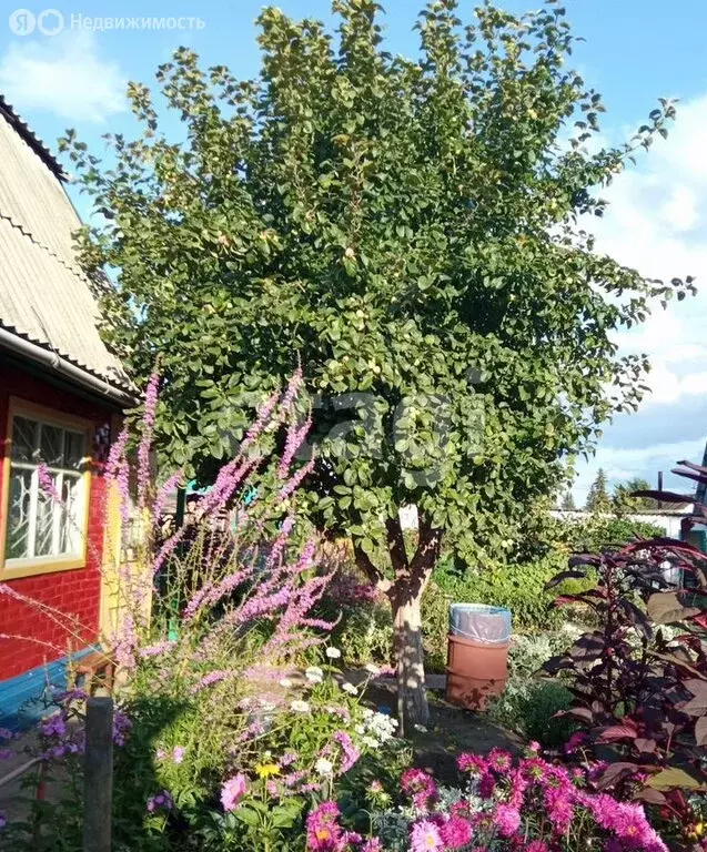 Дом в Омск, территория СОСН Аэрофлот, 4-я аллея (60 м) - Фото 2