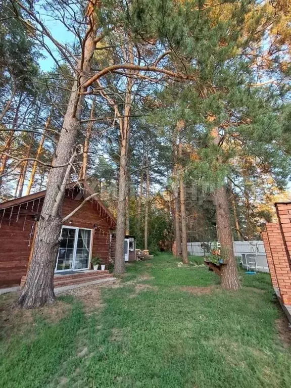 Дом в Новосибирская область, Маслянино рп ул. Дорожная, 19 (80 м) - Фото 1