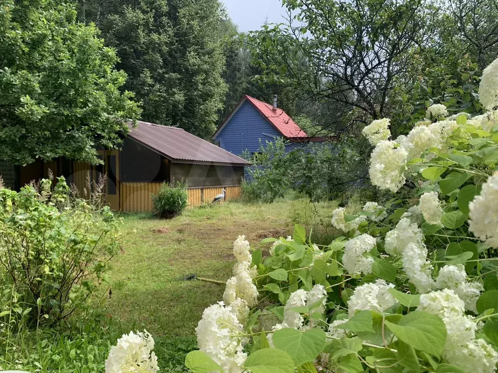 Дача 58 м на участке 8 сот. - Фото 1