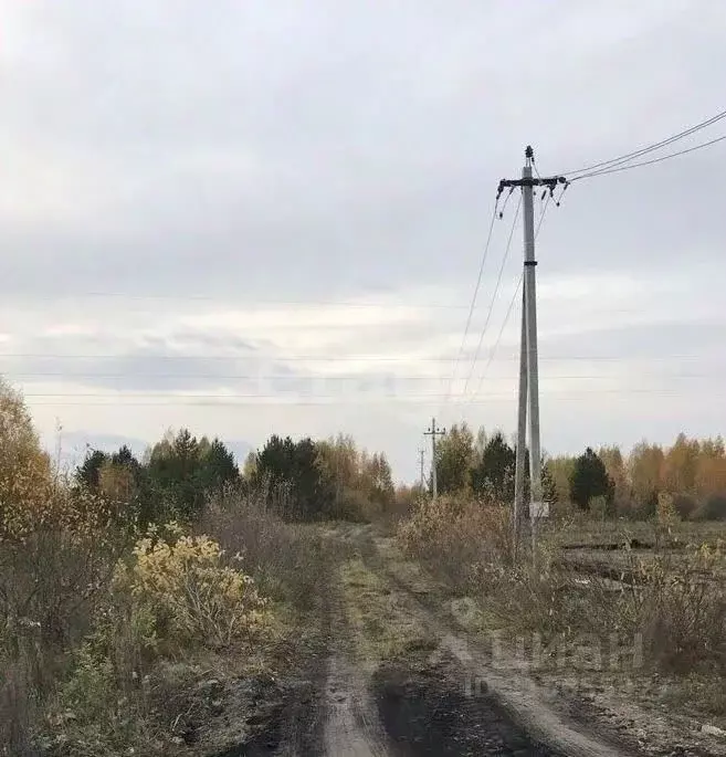 Участок в Архангельская область, Котласский муниципальный округ, д. ... - Фото 1