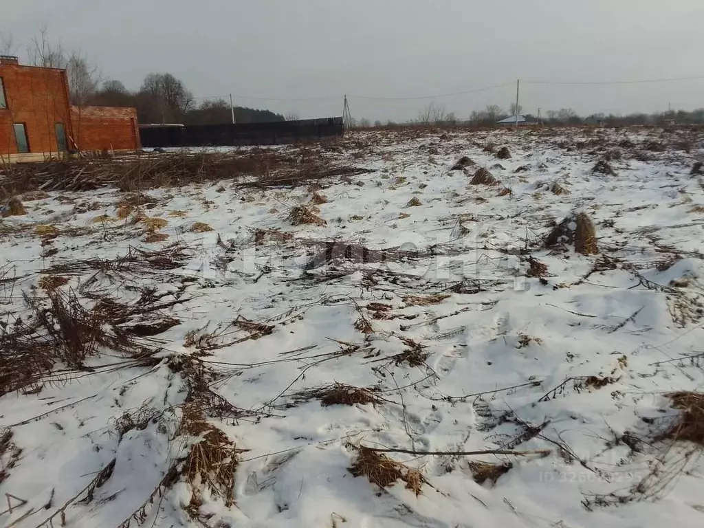 Участок в Брянская область, Брянский район, Мичуринское с/пос, д. ... - Фото 2