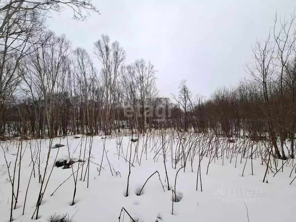 Участок в Камчатский край, Елизовский муниципальный округ, пос. ... - Фото 1