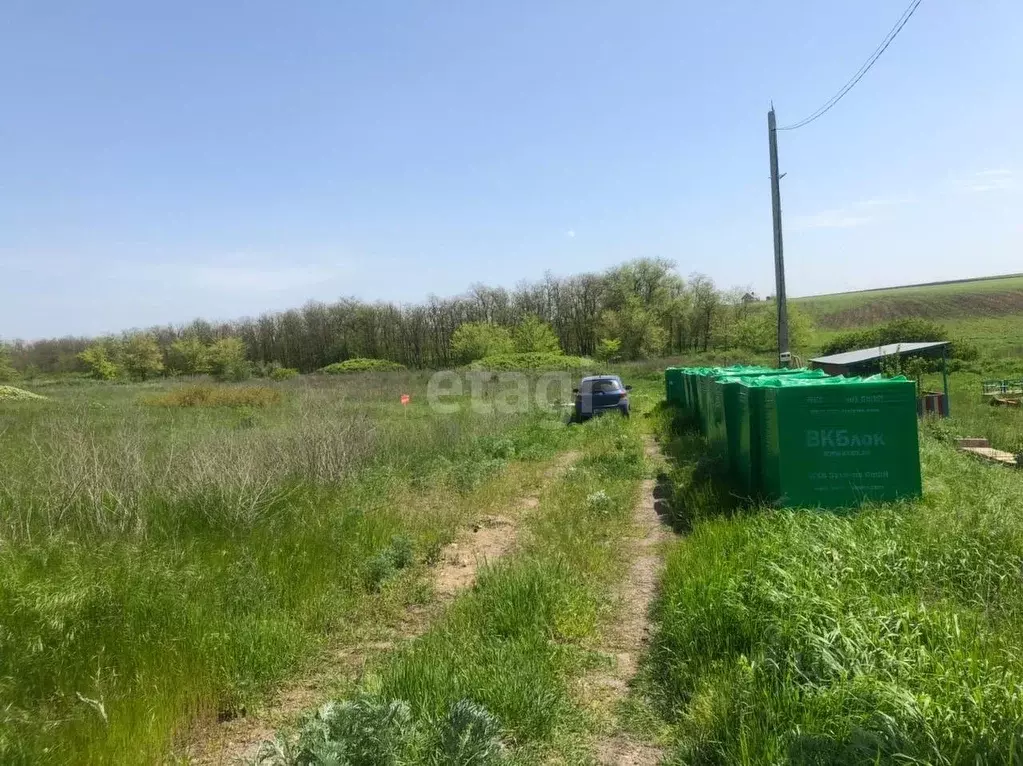 Участок в Ростовская область, Ростов-на-Дону Защитник садовое ... - Фото 2