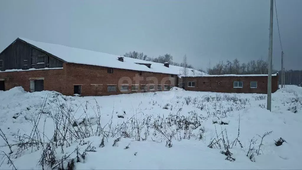 Склад в Новосибирская область, Ордынский район, пос. Чернаково ул. ... - Фото 2