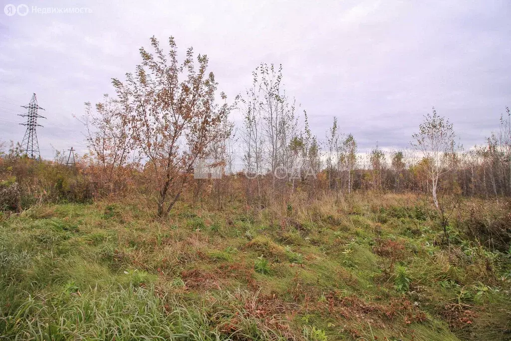 Участок в Павловский район, посёлок Комсомольский (8.13 м) - Фото 2