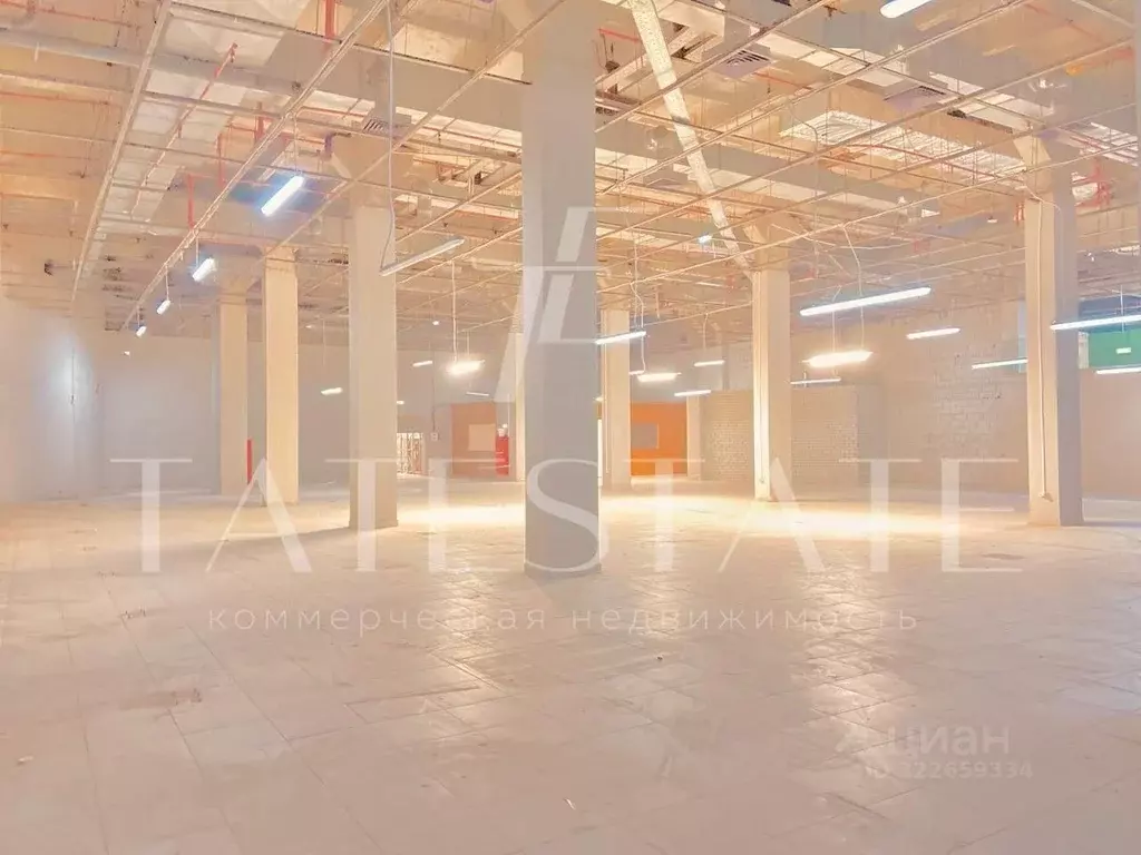 Помещение свободного назначения в Татарстан, Казань Пугачевская ул., ... - Фото 1