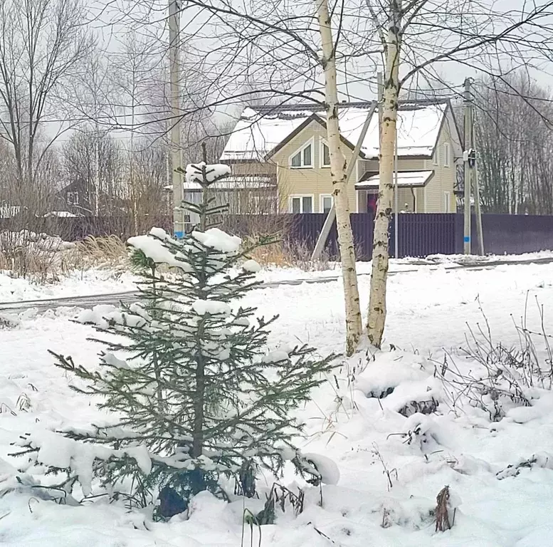 Участок в Московская область, Дмитровский муниципальный округ, пос. ... - Фото 1