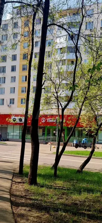 1-к. квартира, 33,1 м, 3/9 эт. - Фото 1