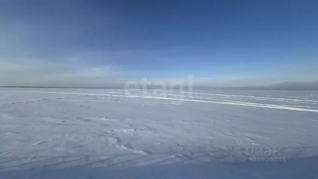Участок в Нижегородская область, Сокольский муниципальный округ, с. ... - Фото 1