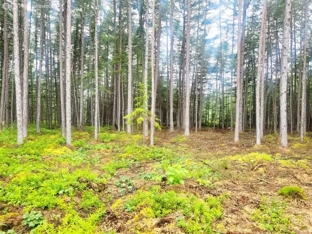 Участок в Октябрьский, улица Дарвина (17 м) - Фото 1