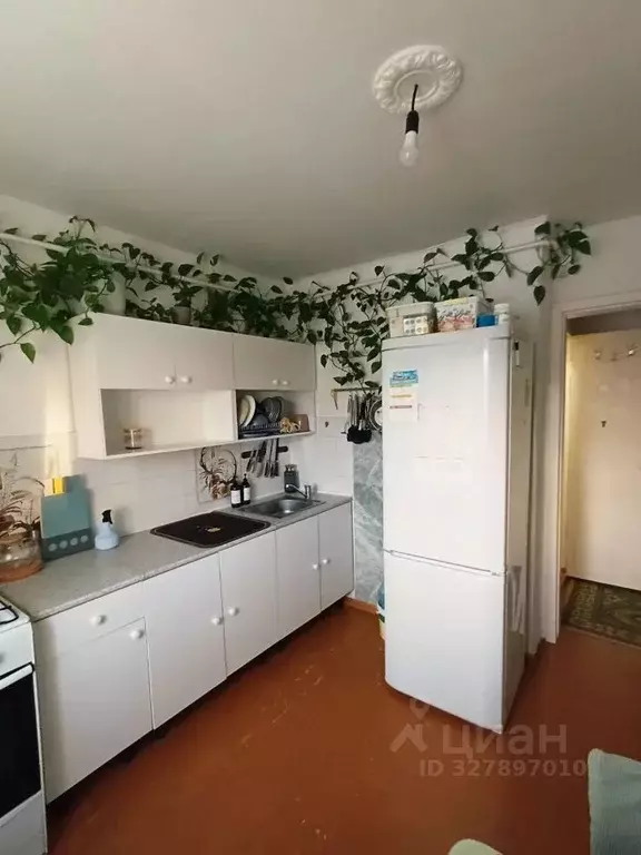 1-к кв. Омская область, Омск просп. Мира, 24/1 (33.0 м) - Фото 2