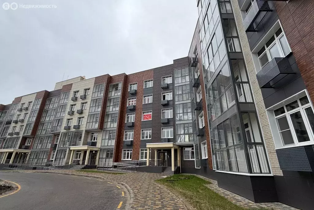 Квартира-студия: Троицк, улица Академика Дыхне, 16 (17 м) - Фото 2