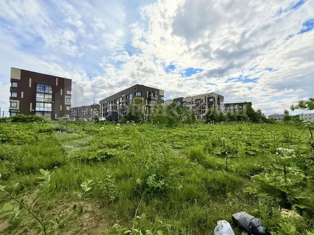 Участок в Московская область, Ленинский городской округ, д. Жабкино ... - Фото 2