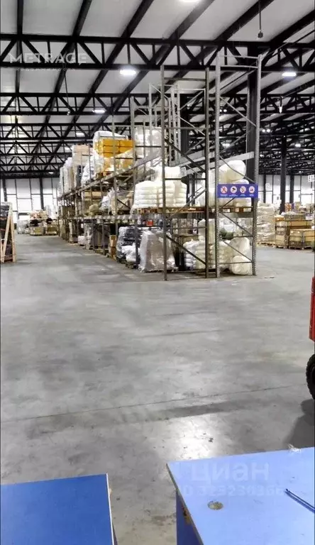 Склад в Новосибирская область, Новосибирск ул. Палласа, 27 (14500 м) - Фото 2