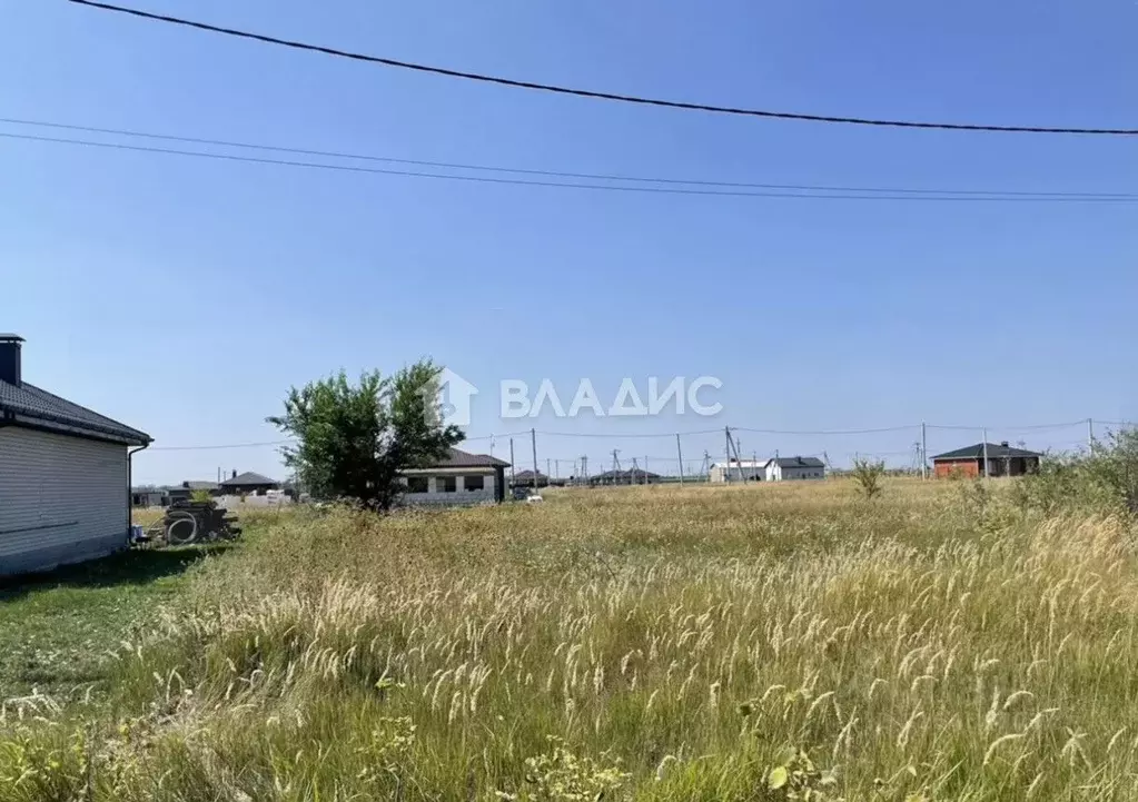 Участок в Воронежская область, Новоусманский район, Отрадненское ... - Фото 2
