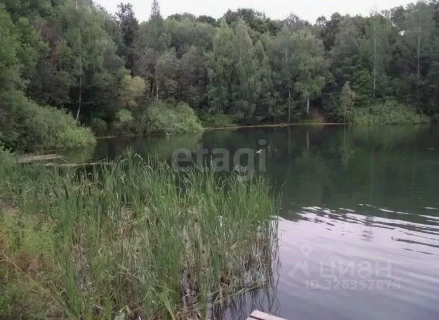 Участок в Тульская область, Тула городской округ, с. Фалдино  (10.0 ... - Фото 1