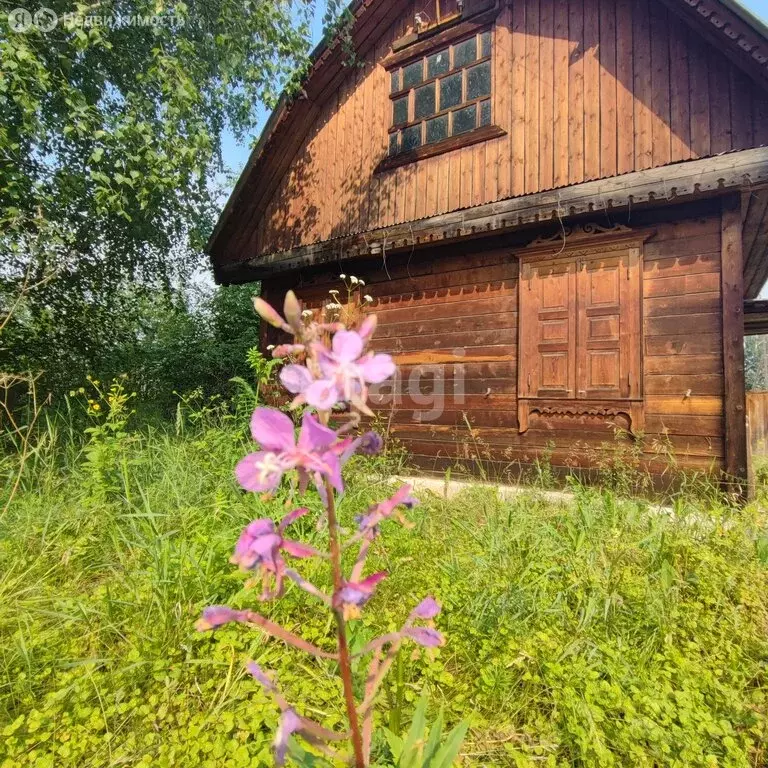 Дом в Красноярск, СНТ Берёзка (50 м) - Фото 1