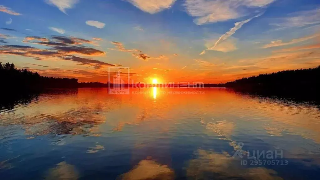 Участок в Владимирская область, Ковровский район, Малыгинское с/пос, ... - Фото 1