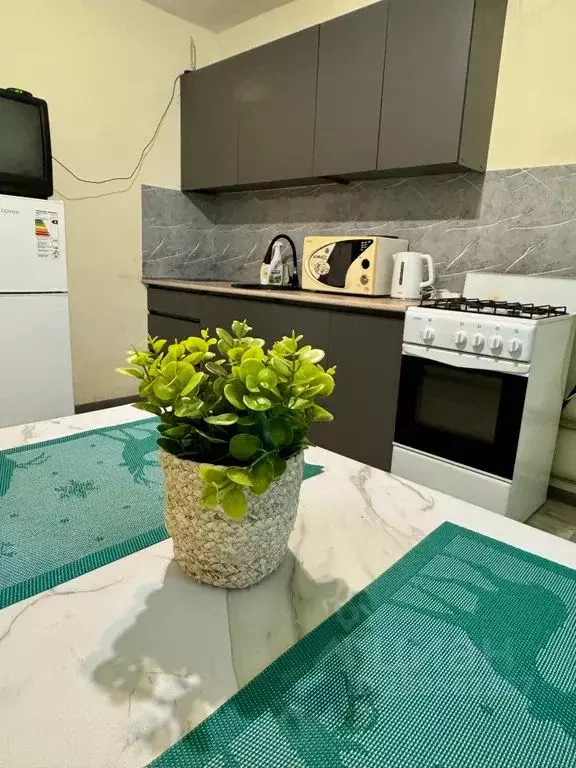 1-к кв. Нижегородская область, Бор ул. Максима Горького, 62/4 (44.0 м) - Фото 1