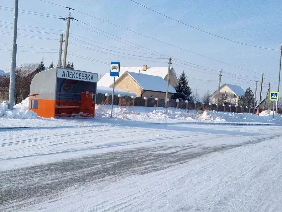 Участок в Новосибирская область, Новосибирский район, Толмачевский ... - Фото 1