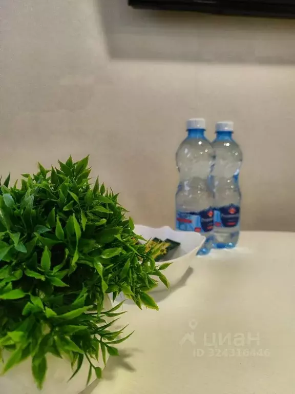 Комната Ставропольский край, Ессентуки Пятигорская ул., 104А (25.0 м) - Фото 2