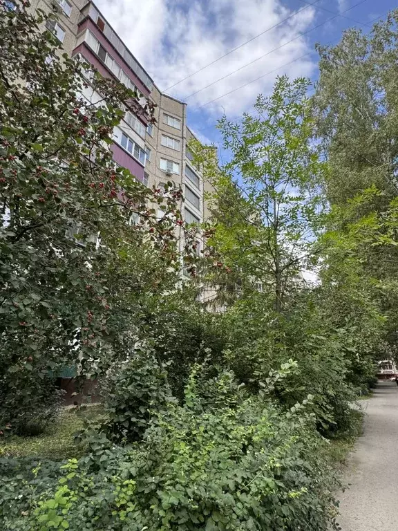 3-к кв. Липецкая область, Липецк Московская ул., 53 (64.0 м) - Фото 2