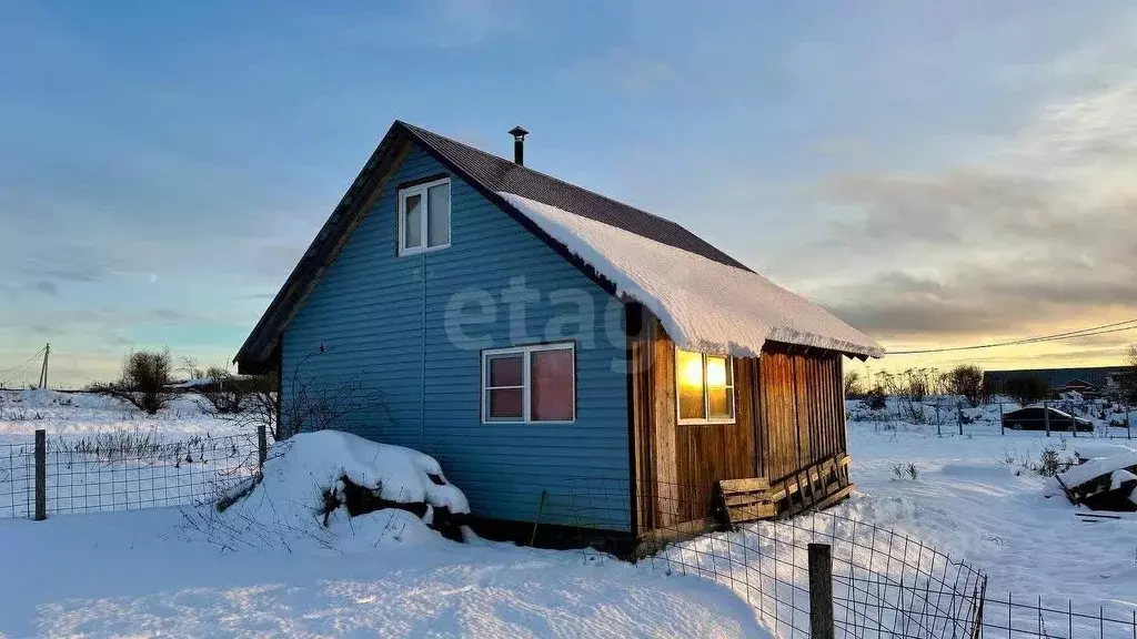 Дом в Вологодская область, Череповецкий район, д. Ирдоматка  (47 м) - Фото 1