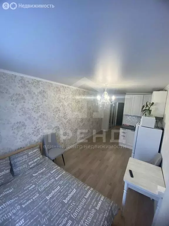 Квартира-студия: Мурино, улица Шоссе в Лаврики, 67 (24.1 м) - Фото 1