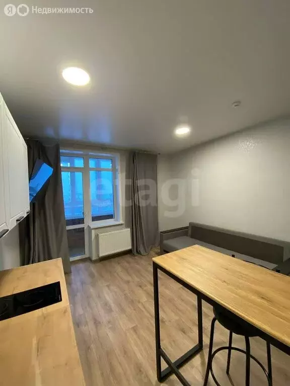 Квартира-студия: Пермь, Веслянский переулок, 2 (24.6 м) - Фото 1