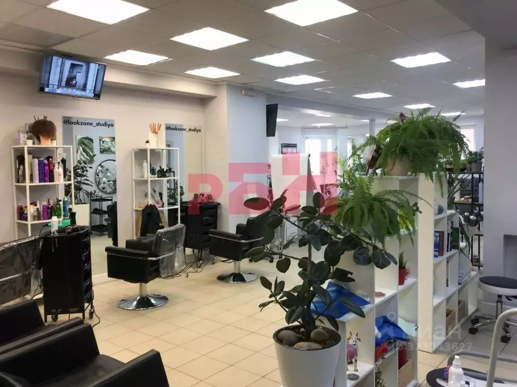 Помещение свободного назначения в Ростовская область, Ростов-на-Дону ... - Фото 1