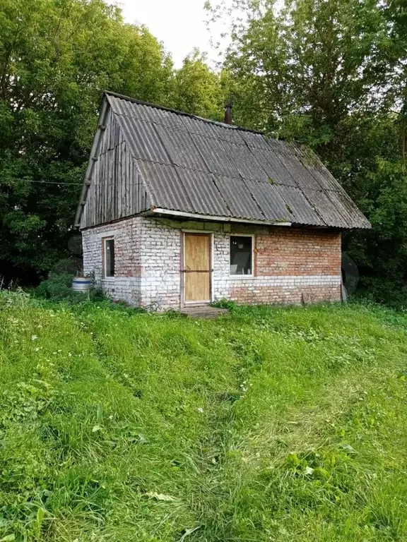 Дом 45м на участке 50сот. - Фото 1