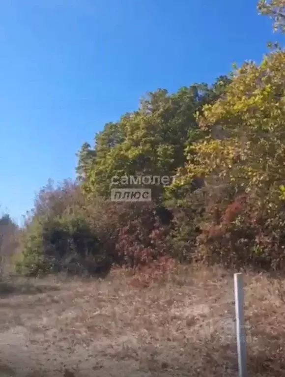 Участок в Краснодарский край, Анапа муниципальный округ, с. Сукко  ... - Фото 1