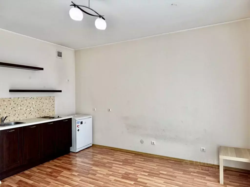 1-к кв. Свердловская область, Екатеринбург ул. Куйбышева, 98 (28.0 м) - Фото 1