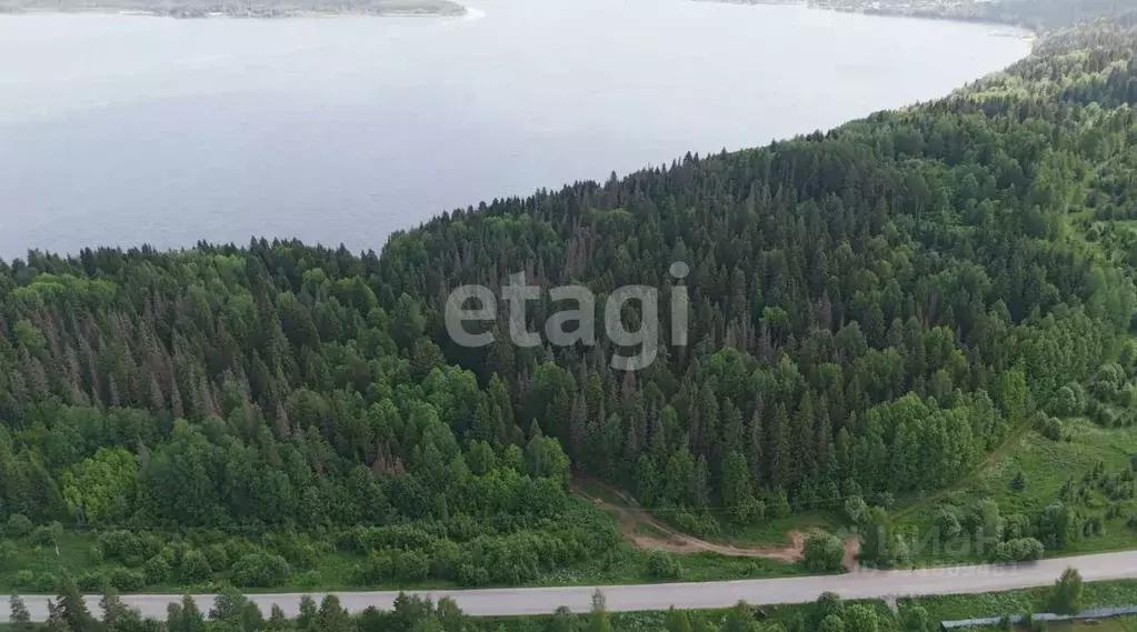 Участок в Пермский край, Пермский муниципальный округ, д. Канабеково, ... - Фото 2