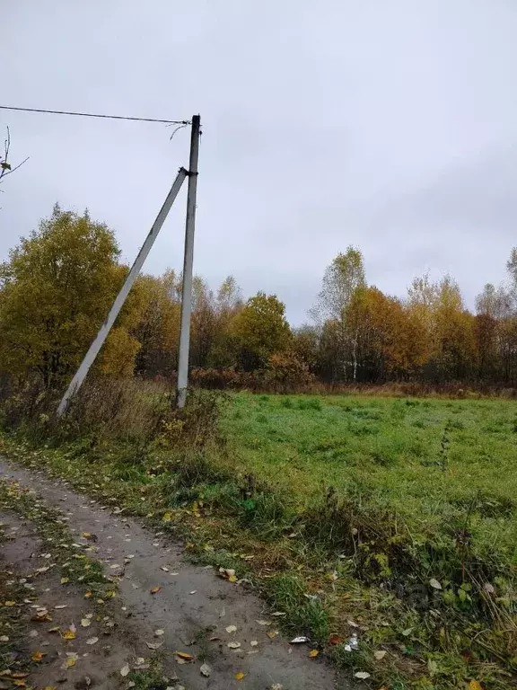 Участок в Ярославская область, Рыбинский муниципальный округ, с. ... - Фото 2