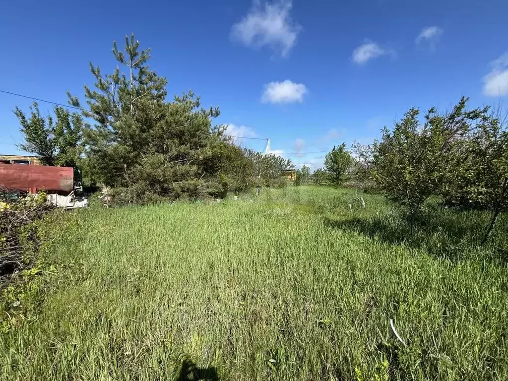 Участок в Белгородская область, Белгородский район, Комсомольское ... - Фото 0