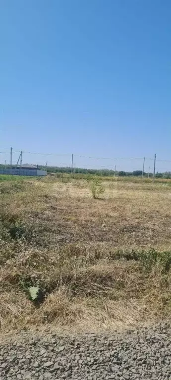 Участок в Ростовская область, Аксайский район, Большелогское с/пос, ... - Фото 1