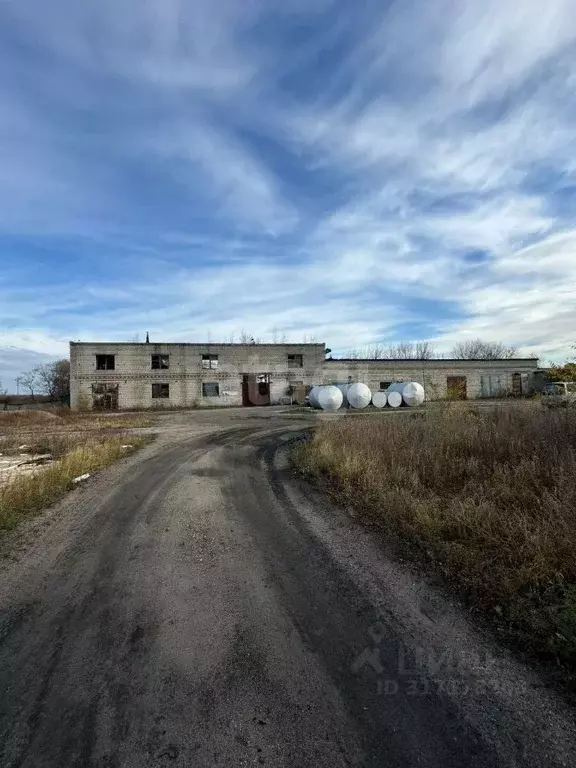 Склад в Амурская область, Белогорск ш. Никольское, 164Ж (20084 м) - Фото 1