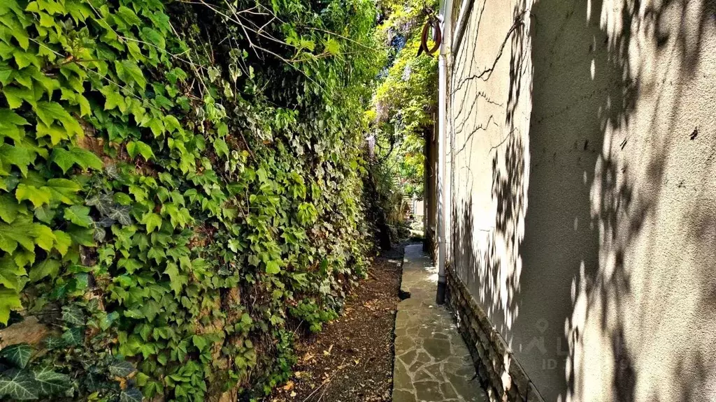 Дом в Крым, Ялта муниципальный округ, Ореанда пгт 54 (537 м) - Фото 1