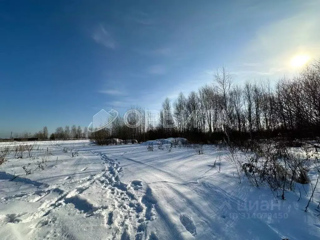 Участок в Тюменская область, Тюменский район, д. Пышминка Молодежная ... - Фото 0