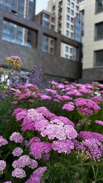 Квартира, 1 комната, 46.7 м - Фото 1