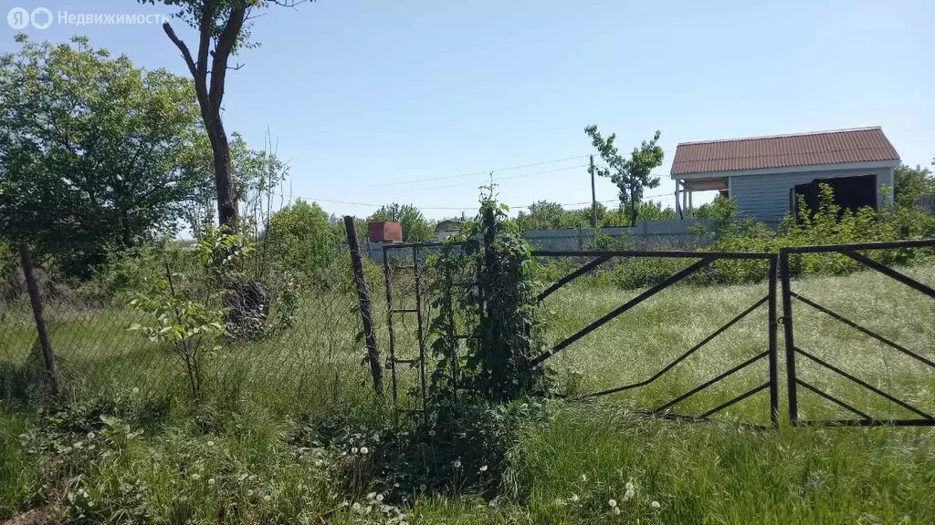 Участок в Мясниковский район, село Большие Салы (6 м) - Фото 0