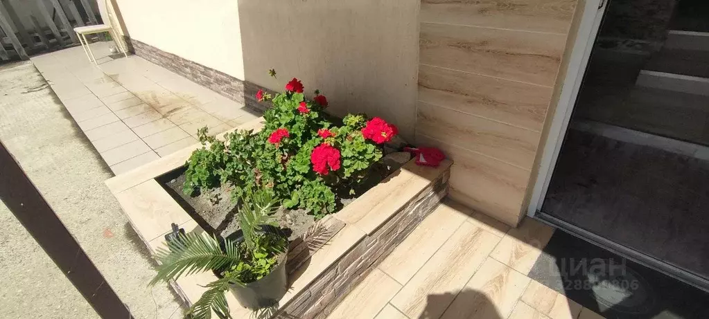 Студия Краснодарский край, Сочи городской округ, с. Нижняя Шиловка ул. ... - Фото 2