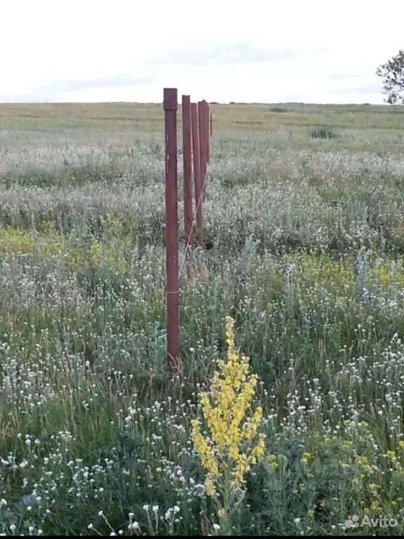 Участок в Башкортостан, Кармаскалинский район, Бузовьязовский ... - Фото 0