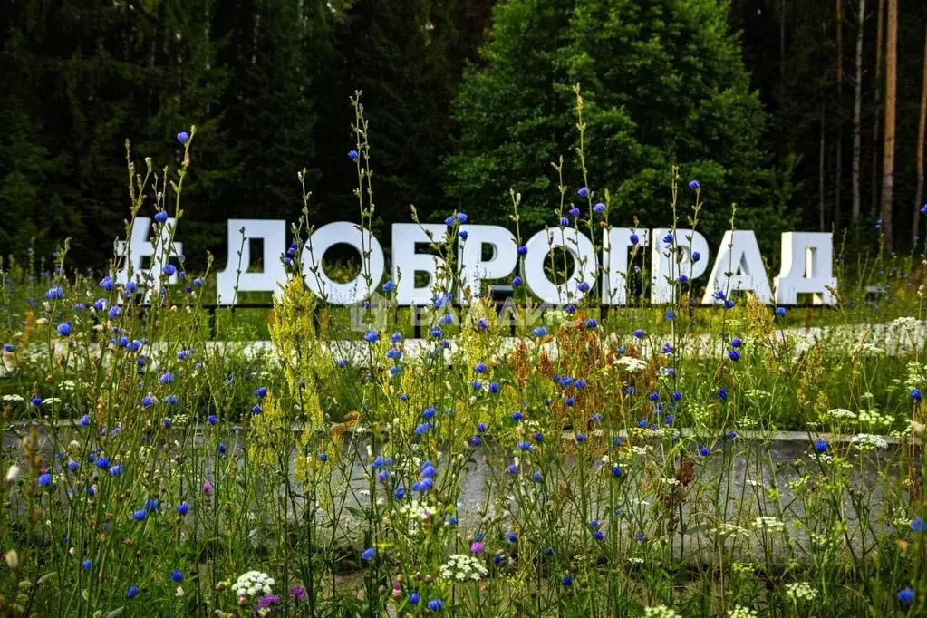 Участок в Владимирская область, Ковровский район, Доброград ... - Фото 1