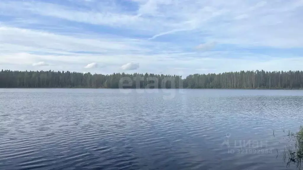 Участок в Ленинградская область, Киришский район, Будогощское ... - Фото 0