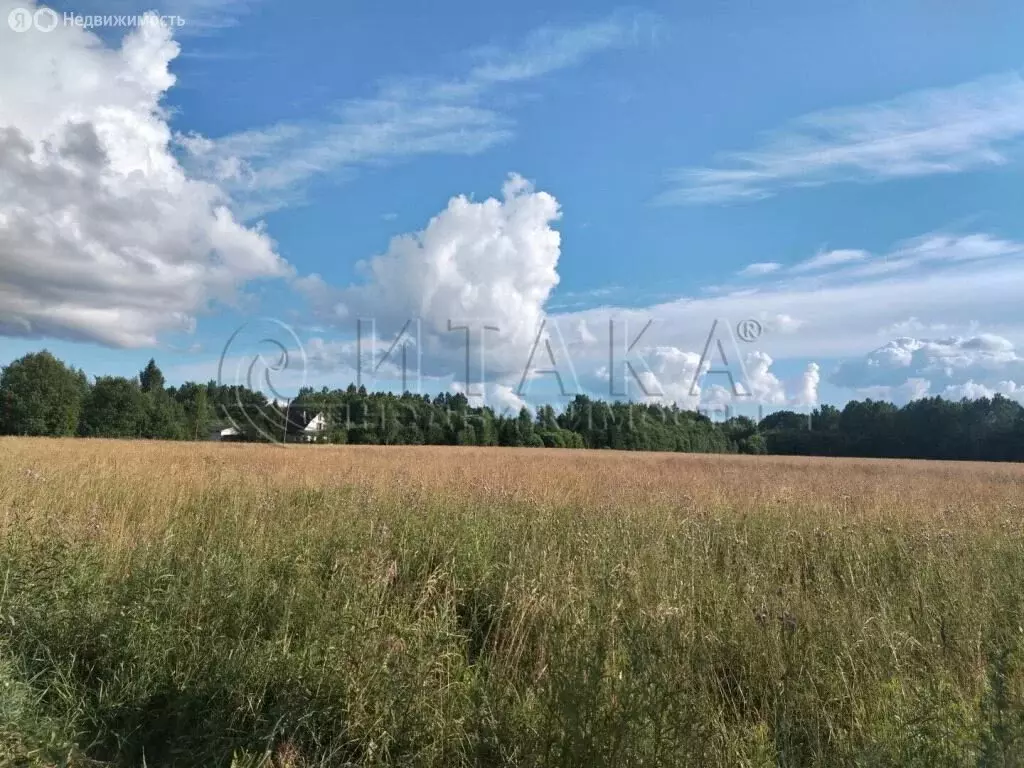 Участок в Заклинское сельское поселение, деревня Колодно (5.05 м) - Фото 1