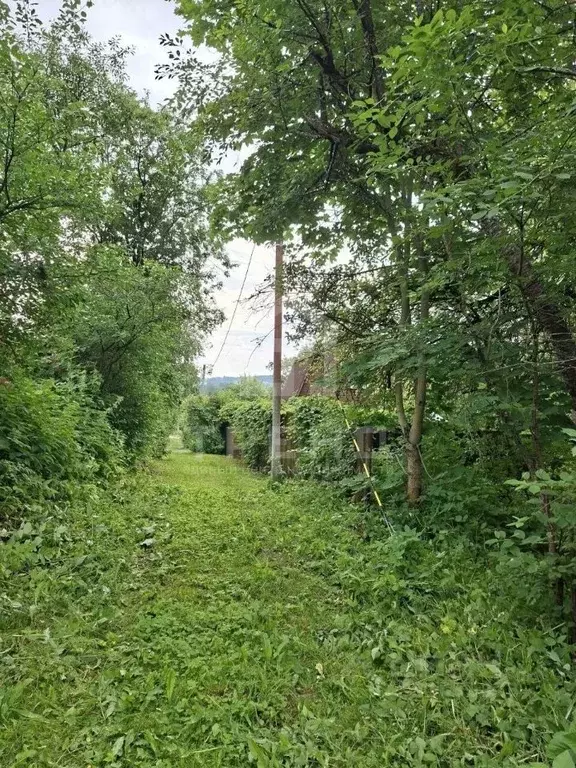 Участок в Санкт-Петербург, Санкт-Петербург, Красное Село Дружба СНТ, ... - Фото 1