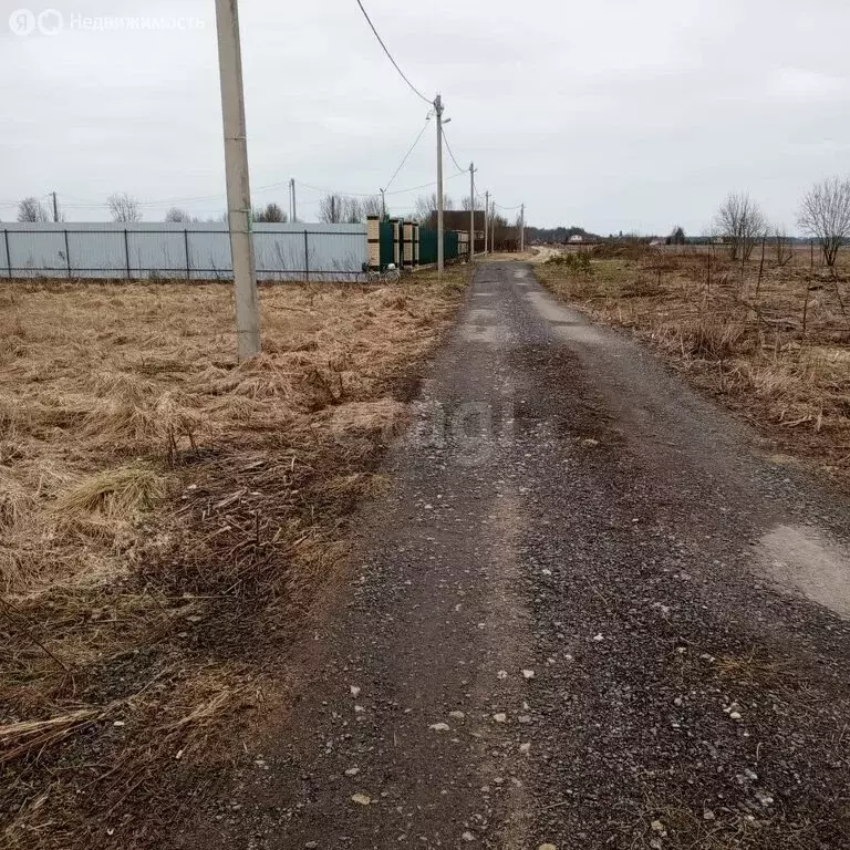 Участок в Ленинградская область, Волосовское городское поселение, ... - Фото 0